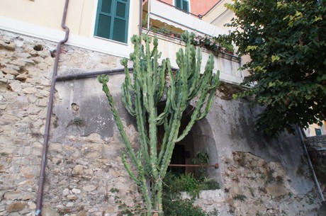 Bordighera