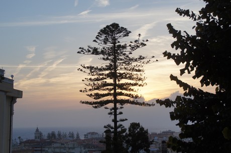 Bordighera