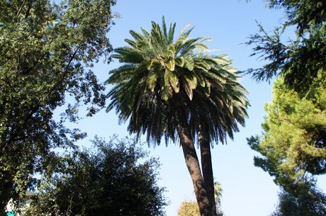 Bordighera