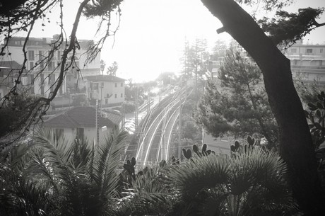 Bordighera