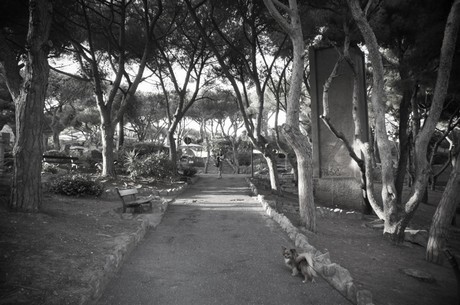 Bordighera