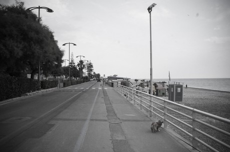 Bordighera