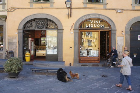 lucca