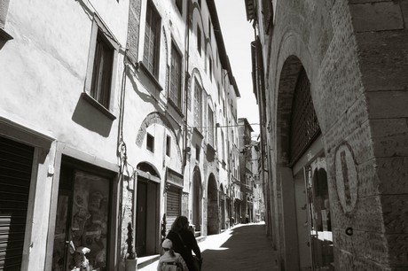 lucca