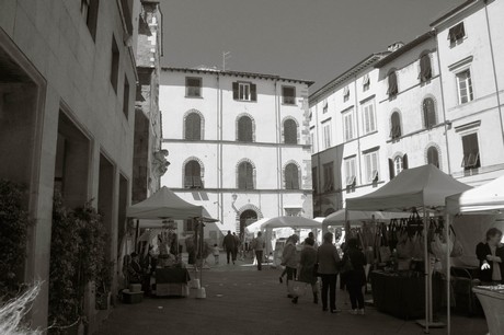 lucca