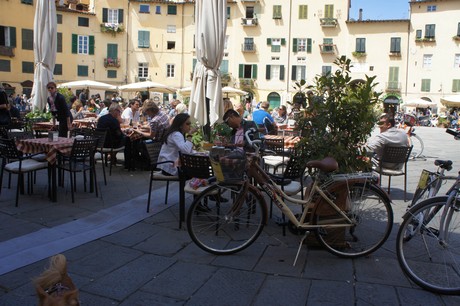 lucca