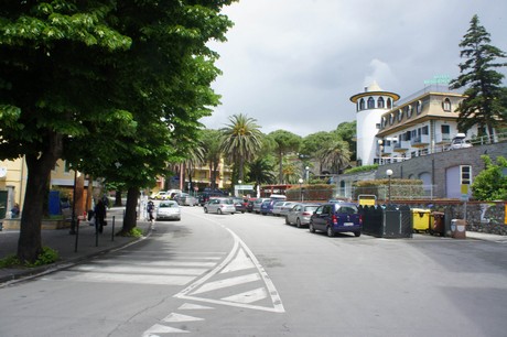 moneglia