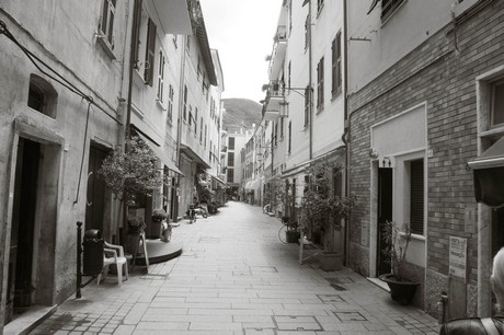 moneglia