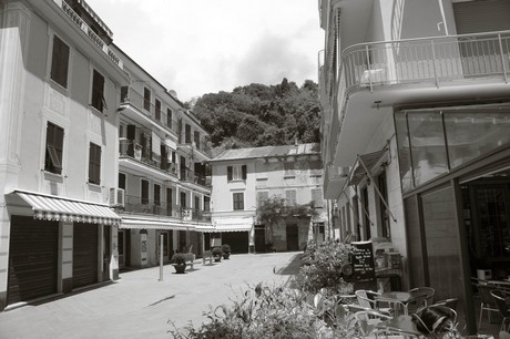 moneglia