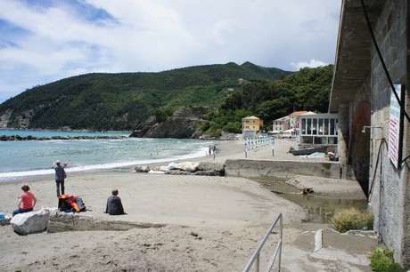 moneglia