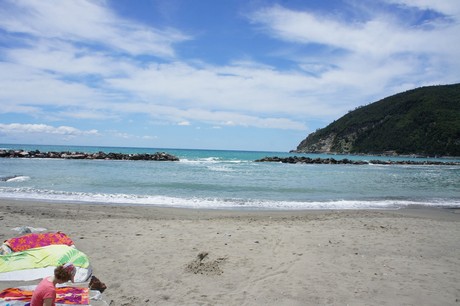 moneglia