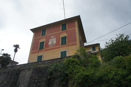 neirone