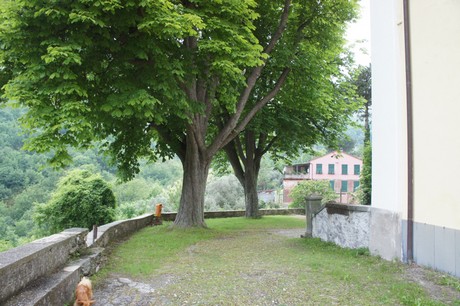 neirone