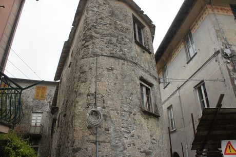 neirone