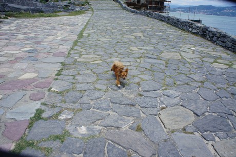 Portovenere