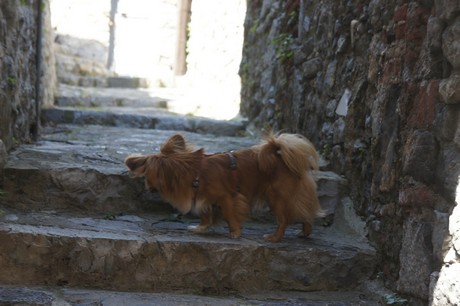 Portovenere