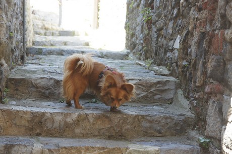 Portovenere