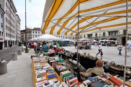 udine