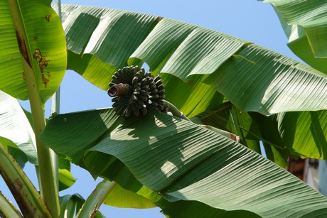 ventimiglia-altstadt