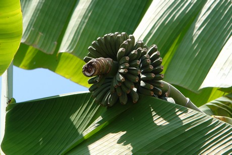 ventimiglia-altstadt