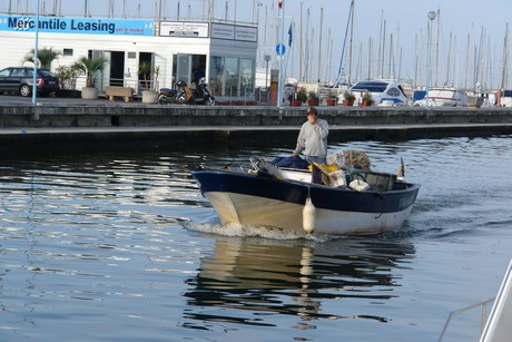 viareggio