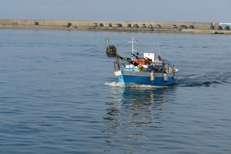 viareggio