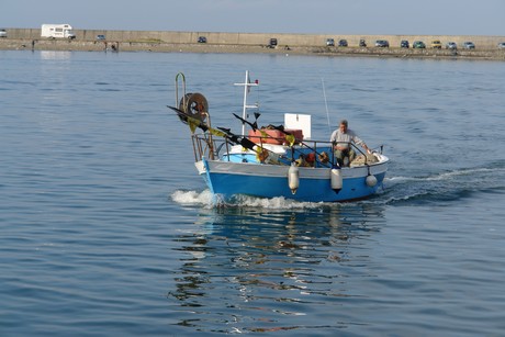 viareggio