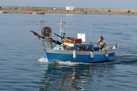 viareggio