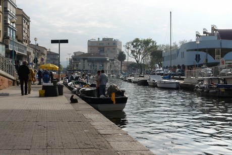 viareggio