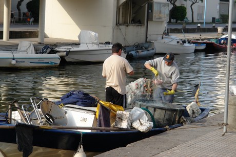 viareggio